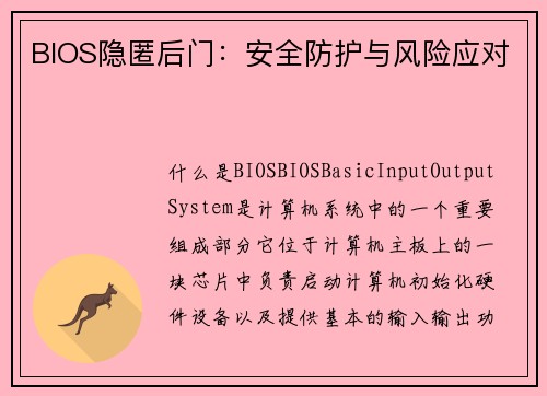 BIOS隐匿后门：安全防护与风险应对
