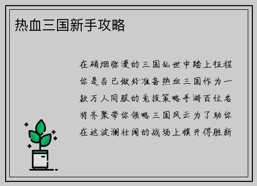 热血三国新手攻略